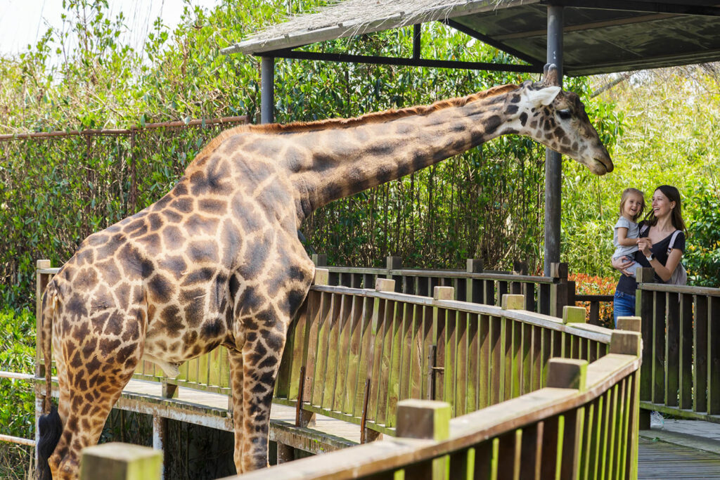 Miami LGBTQ+ travel guide - Miami's Zoo